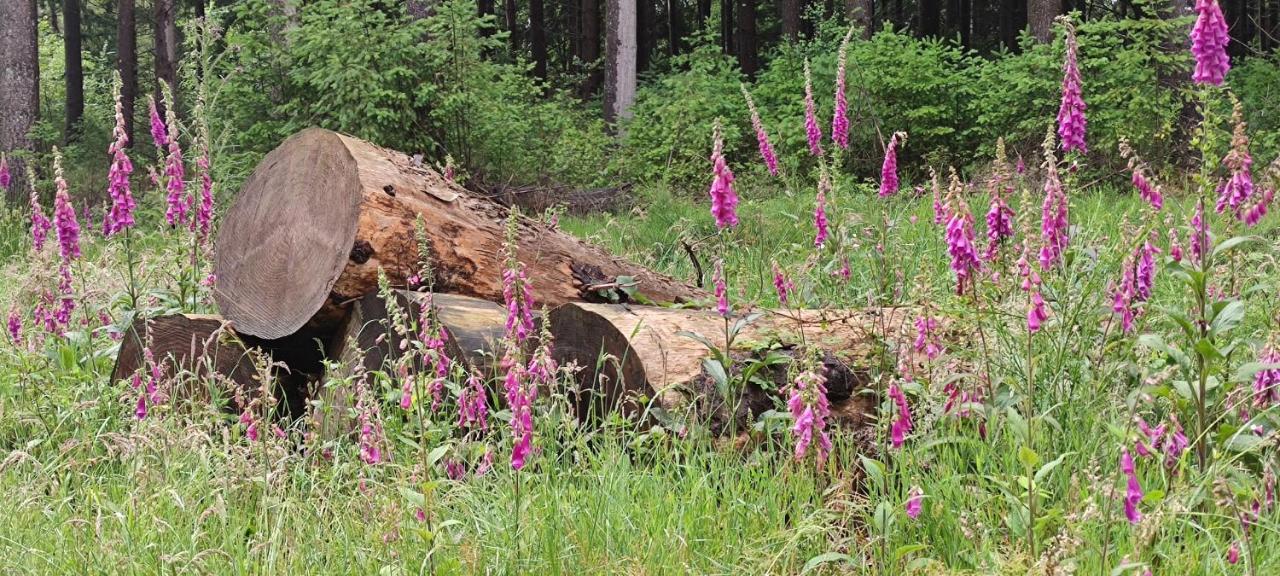 Le Pas Du Loup Villa Royere-de-Vassiviere Dış mekan fotoğraf
